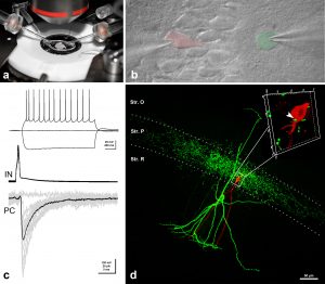 honlapra_ephys_promo_v2