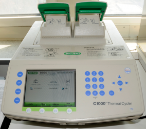 pcr_c1000_katonalab